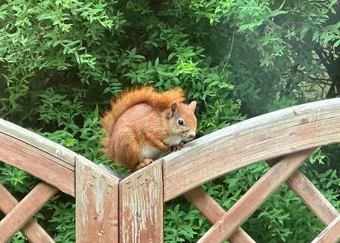 Проживание в семье Skovbrynet 2 Zimmer 4 Лёккен